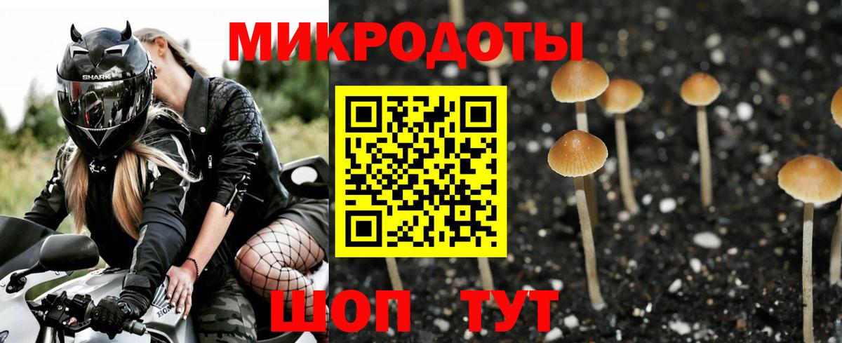 Красноперекопск  Псилоцибиновые грибы Psilocybine cubensis  купить  сайты  Вход с VPN  Псилоцибиновые грибы Psilocybine cubensis 
